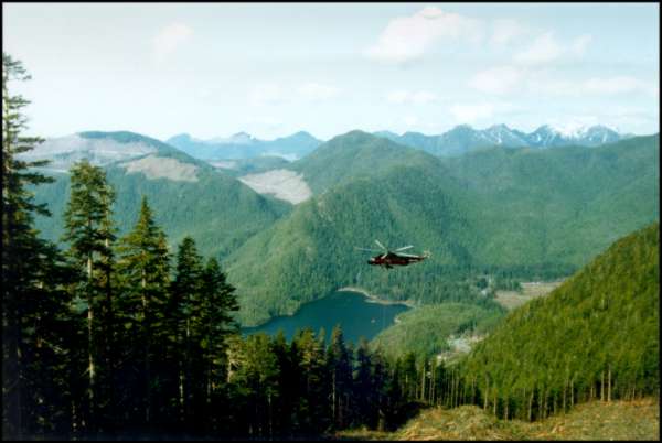 Helicopter logging on the west coast of BC