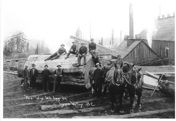 Logging in Lynn Valley Logging in Lynn Valley