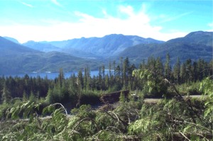 View of Woss, BC