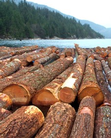 High Value Log Boom