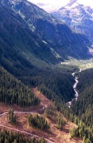 Sustainable Forest Management