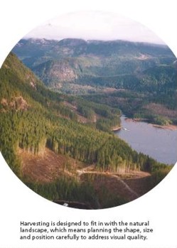 Managing Scenic Values