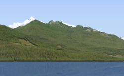 sample vlp image