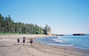 Software solutions from the Westcoast